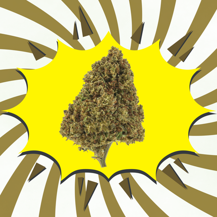 Buddha Caramel – Flor CBD Indoor dulce y cremosa | CBD Vida Sana