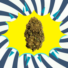 BZ1  - Flores CBD - Greenhouse / Glasshouse