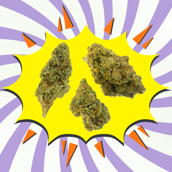Fruit cake CBD - Flores CBD - Greenhouse / Glasshouse