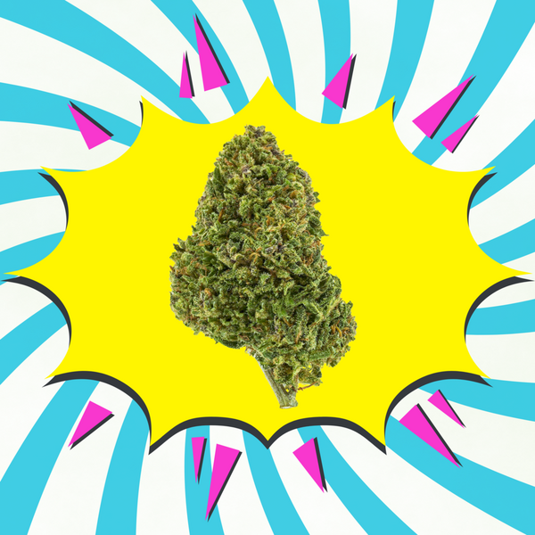 Mango Haze CBD - Flores de CBD - Glasshouse / Greenhouse
