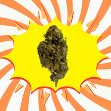 Orange Bud - Flores CBD - Greenhouse / Glasshouse