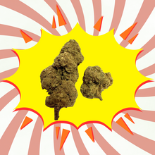 Remedy - Flores CBD - Greenhouse / Glasshouse