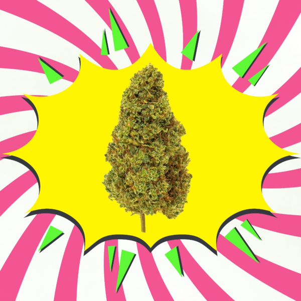 Super Lemon Haze CBD - Flores de CBD - Glasshouse / Greenhouse