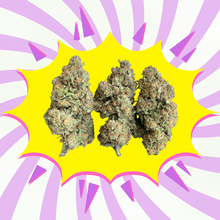 Sweet Berry - Flores CBD - Greenhouse / Glasshouse