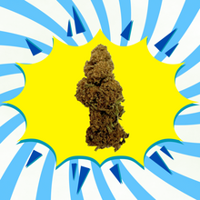 Tangie - Flores CBD - Greenhouse / Glasshouse