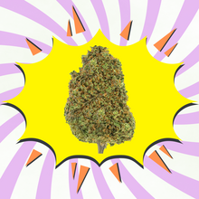 Tutti Frutti CBD - Flores CBD - Glasshouse / Greenhouse