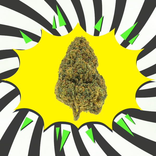 White Widow CBD - Flores CBD - Glasshouse / Greenhouse